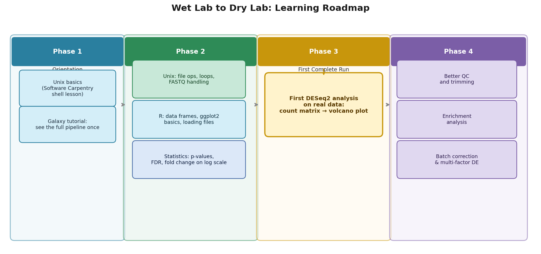Flowchart showing the recommended learning sequence from wet-lab biology to RNA-seq analysis competence, with parallel tracks for Unix, R, and statistics