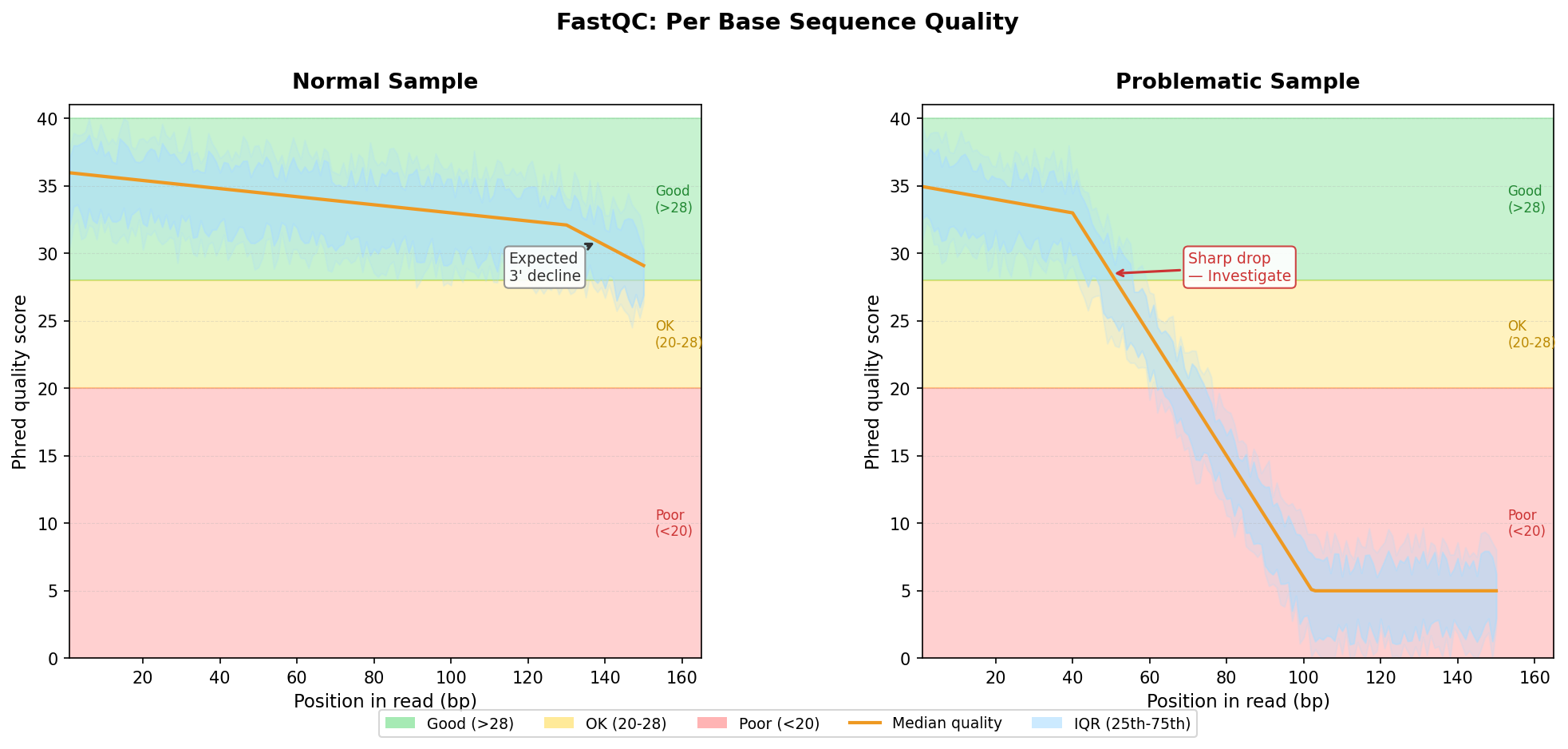 FastQC per base sequence quality plot with annotated drop zones at 3-prime end and a normal decline highlighted
